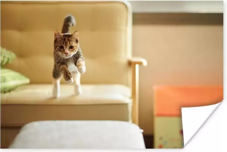 PosterMonkey Poster Kat Spring Stoel 30x20 cm