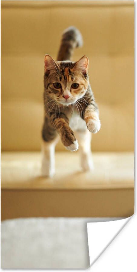 PosterMonkey Poster Kat Spring Stoel 40x80 cm