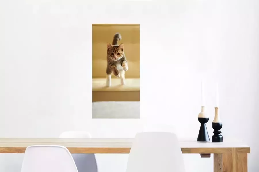 PosterMonkey Poster Kat Spring Stoel 40x80 cm - Foto 3