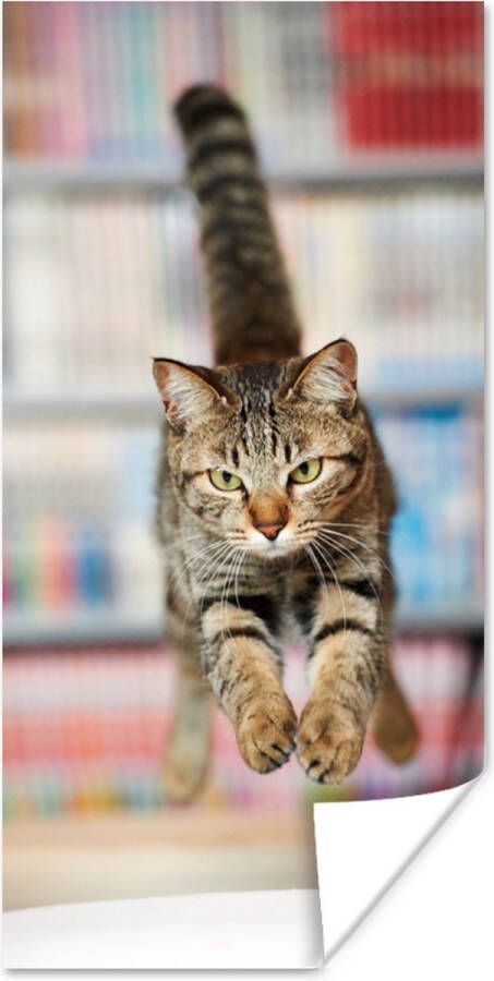 PosterMonkey Poster Kat Spring Stoel 60x120 cm