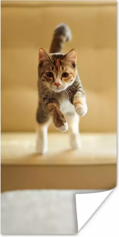 PosterMonkey Poster Kat Spring Stoel 80x160 cm