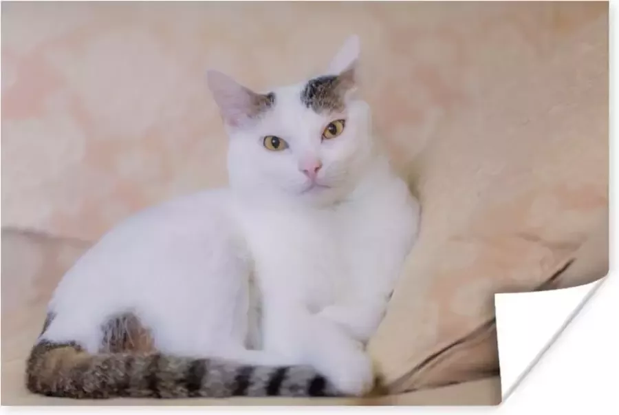 PosterMonkey Poster Kat Wit Bank Meisjes Kinderen Jongens Kids 60x40 cm