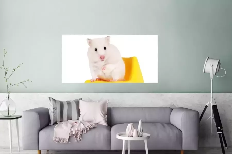 PosterMonkey Poster Witte hamster op een gele stoel 120x60 cm - Foto 2
