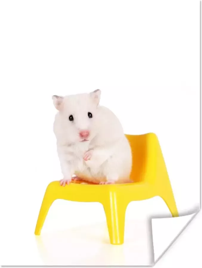 PosterMonkey Poster Witte hamster op een gele stoel 30x40 cm