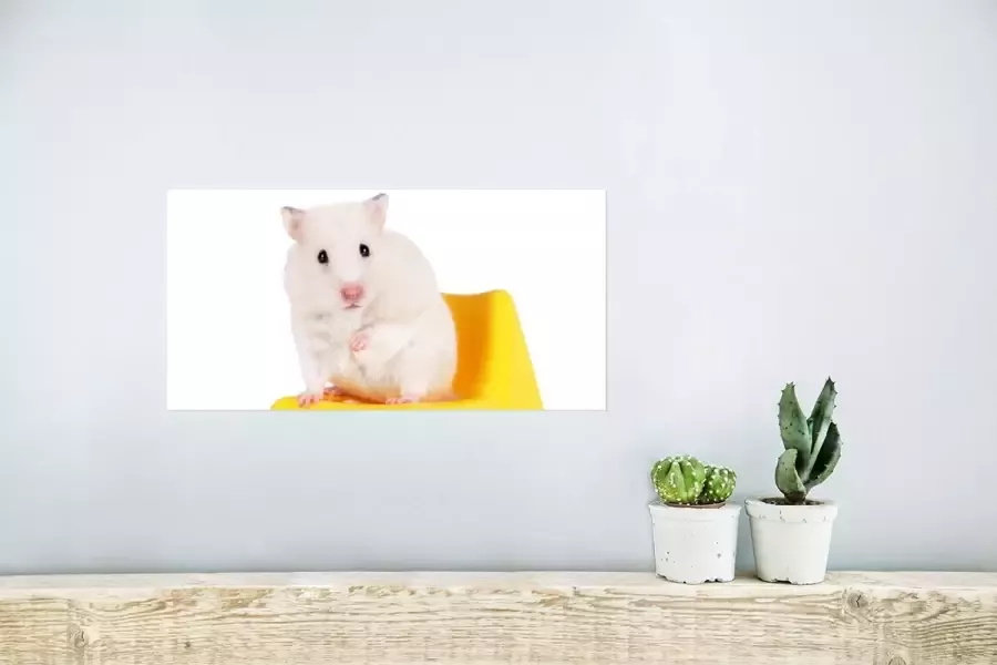 PosterMonkey Poster Witte hamster op een gele stoel 40x20 cm - Foto 2