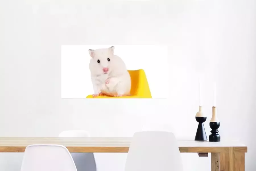 PosterMonkey Poster Witte hamster op een gele stoel 80x40 cm - Foto 2
