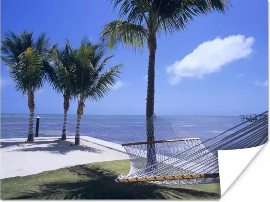 PosterMonkey Poster Zee Hangmat Palmboom 160x120 cm XXL