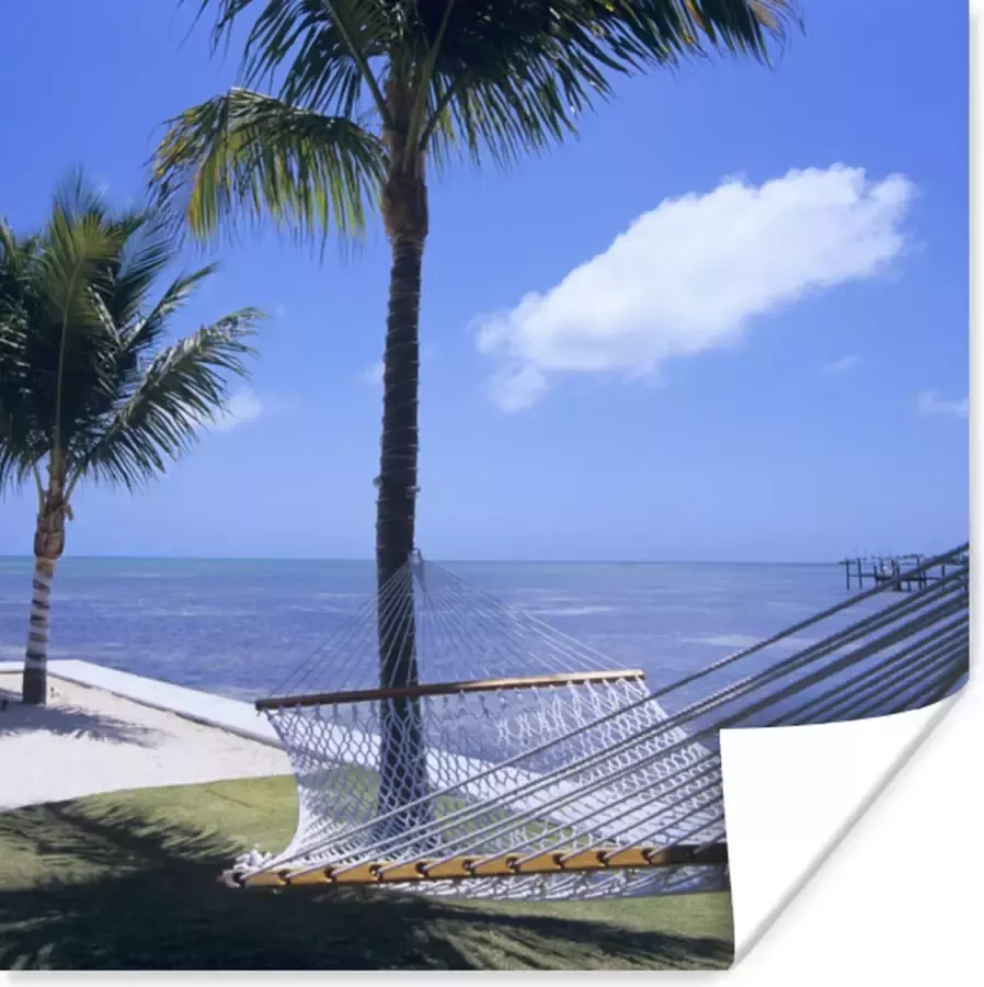 PosterMonkey Poster Zee Hangmat Palmboom 75x75 cm