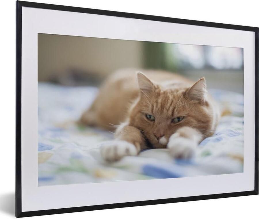 Poster in lijst Fotolijst 60x40 cm Posters Kat Bed Bedsprei Meisjes Kinderen Jongens Kind Posterlijst zwart Decoratie Wanddecoratie woonkamer Muurdecoratie slaapkamer - Foto 2