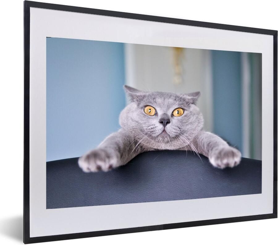 PosterMonkey Fotolijst incl. Poster Kat Grijs Stoel 60x40 cm Posterlijst