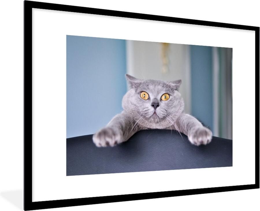 PosterMonkey Fotolijst incl. Poster Kat Grijs Stoel 90x60 cm Posterlijst