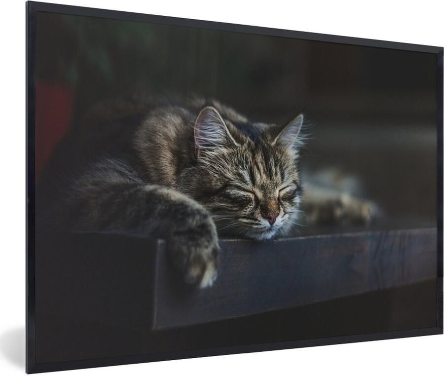 PosterMonkey Fotolijst incl. Poster Kat ligt op een zwarte tafel te slapen 60x40 cm Posterlijst