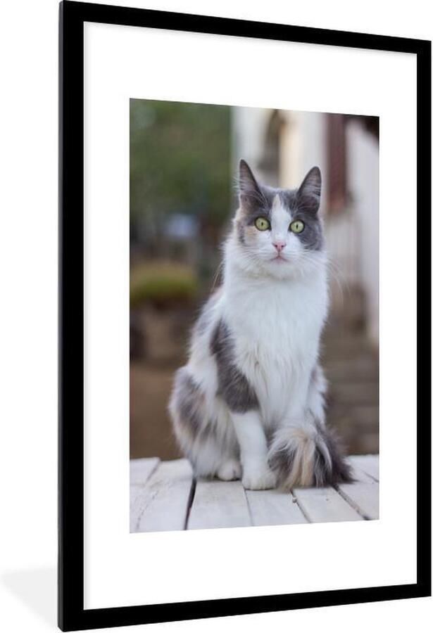 PosterMonkey Fotolijst incl. Poster Kat Portret Tafel Meisjes Kinderen Jongens Kids 80x120 cm Posterlijst