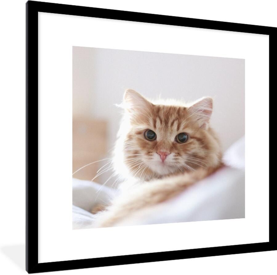 PosterMonkey Fotolijst incl. Poster Kat Rood Bed Meisjes Kinderen Jongens Kids 40x40 cm Posterlijst