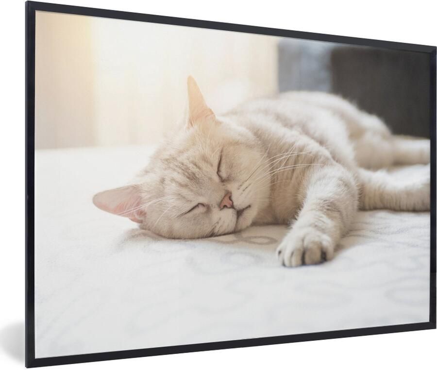 PosterMonkey Fotolijst incl. Poster Kat slaapt op bed 60x40 cm Posterlijst