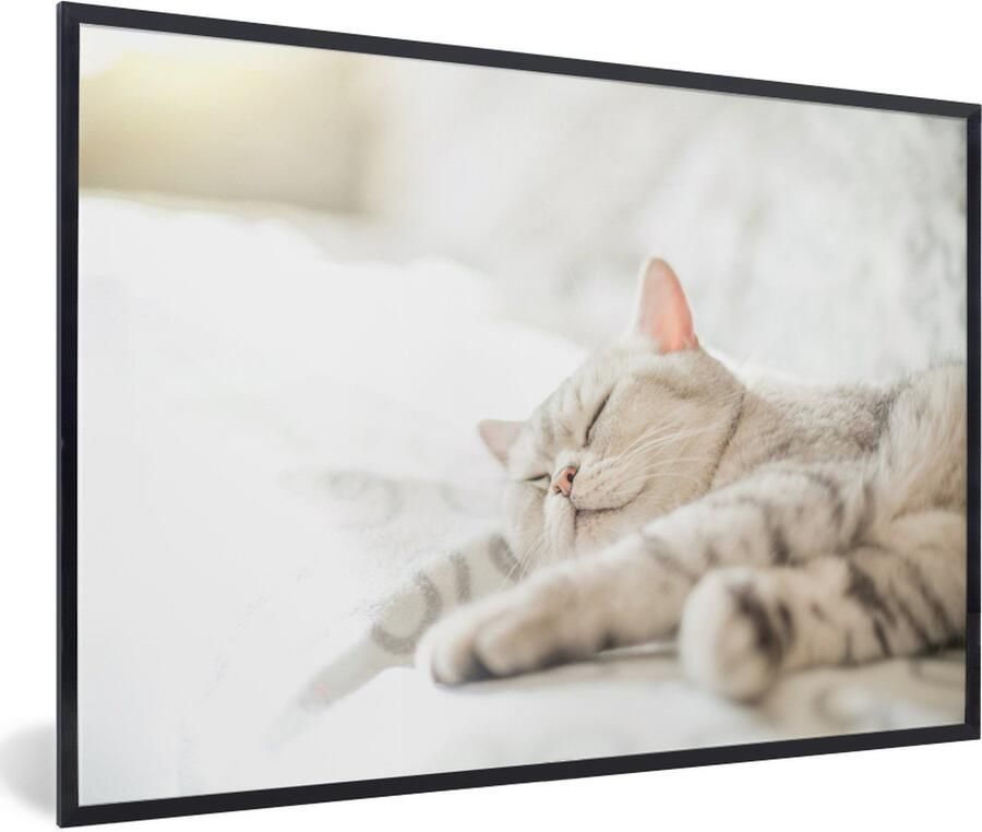 PosterMonkey Fotolijst incl. Poster Kat slaapt op de bank 60x40 cm Posterlijst