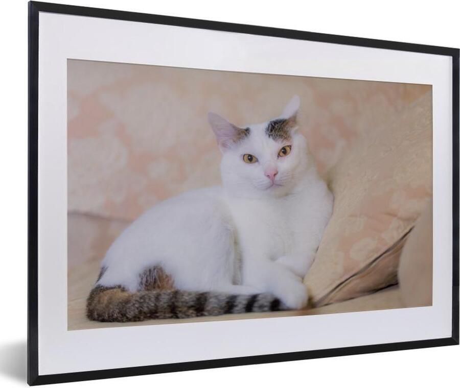 PosterMonkey Fotolijst incl. Poster Kat Wit Bank Meisjes Kinderen Jongens Kids 60x40 cm Posterlijst