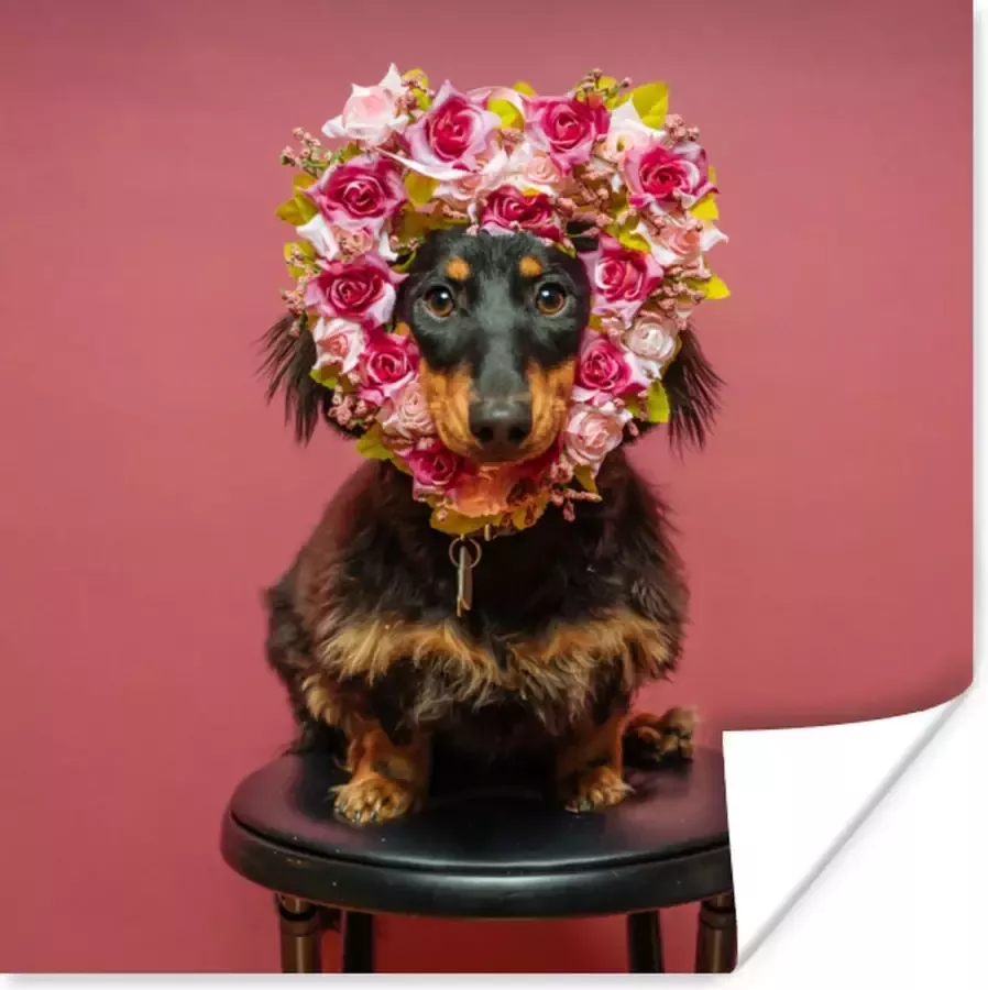 PosterMonkey Teckel op kruk met bloemenkrans 75x75 cm Bloemen Poster