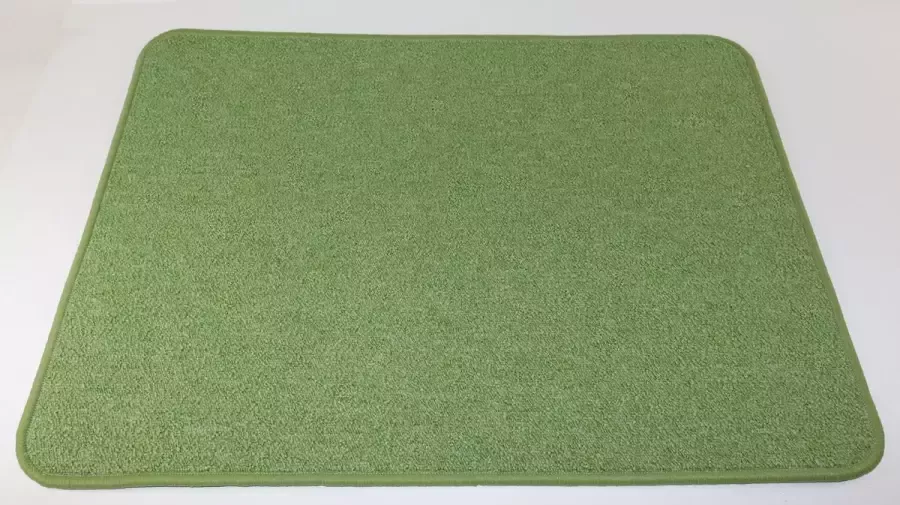 Prima vloerkleden Vloerkleed Inloopmat Lieve munt groen 60x80