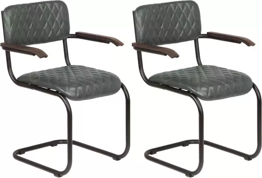 Prolenta Premium Eetkamerstoelen 2 st met armleuningen echt leer grijs