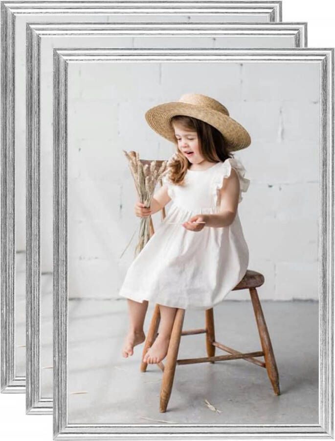 Prolenta Premium Fotolijsten 3 st voor wand of tafel 15x21 cm MDF zilverkleurig