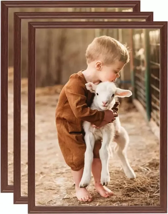 Prolenta Premium Fotolijsten 3 st voor wand of tafel 29 7x42 cm MDF bruin