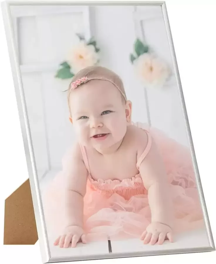Prolenta Premium Fotolijsten 3 st voor wand of tafel 59 4x84 cm MDF zilverkleur