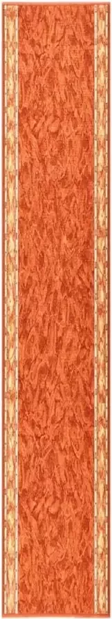 Prolenta Premium Tapijtloper anti-slip 67x400 cm terracottakleurig Huis en Tuin