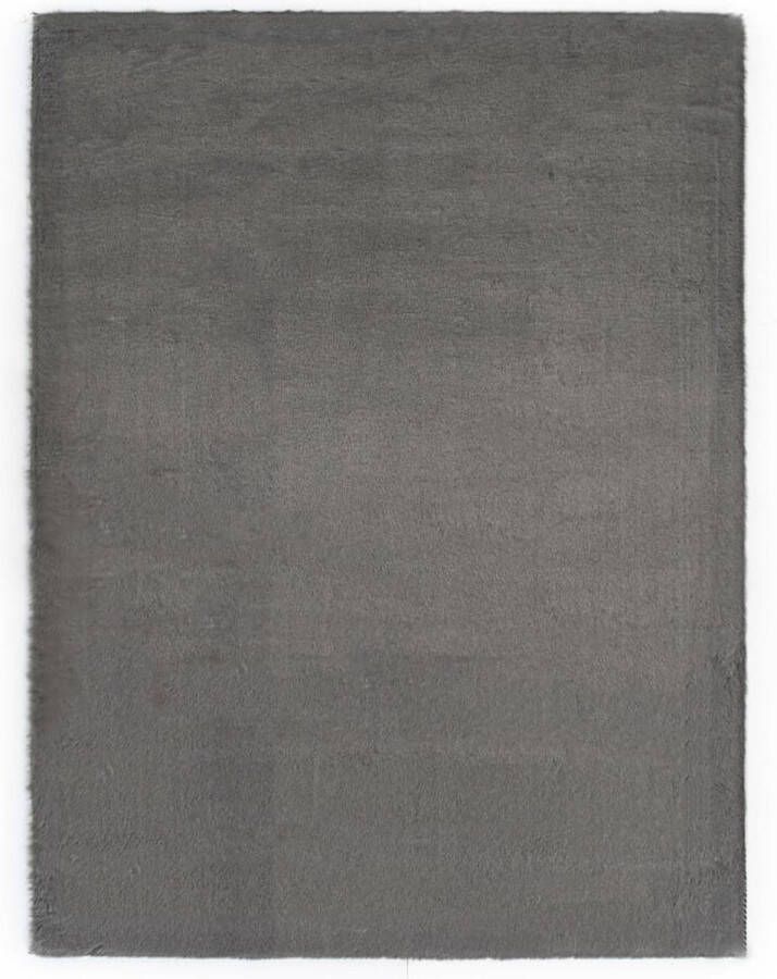 Prolenta Premium Vloerkleed 160x230 cm kunstkonijnenbont donkergrijs