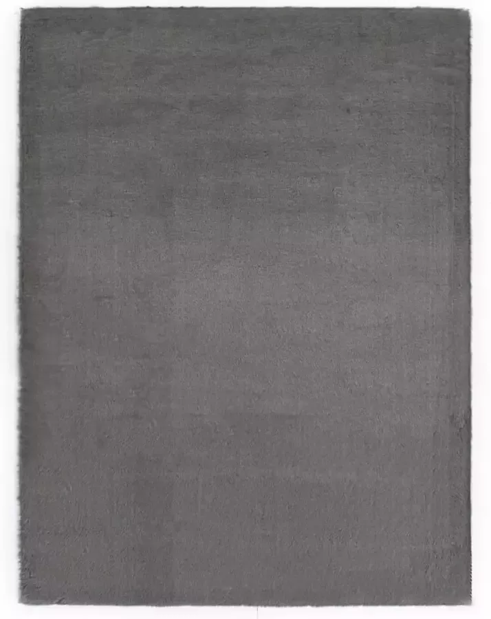 Prolenta Premium Vloerkleed 160x230 cm kunstkonijnenbont donkergrijs