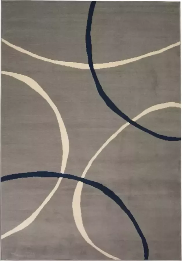 Prolenta Premium Vloerkleed modern cirkel ontwerp 80x150 cm grijs