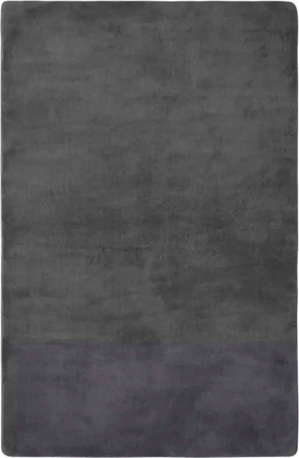 Prolenta Premium Vloerkleed teddy 230x160 cm antracietkleurig