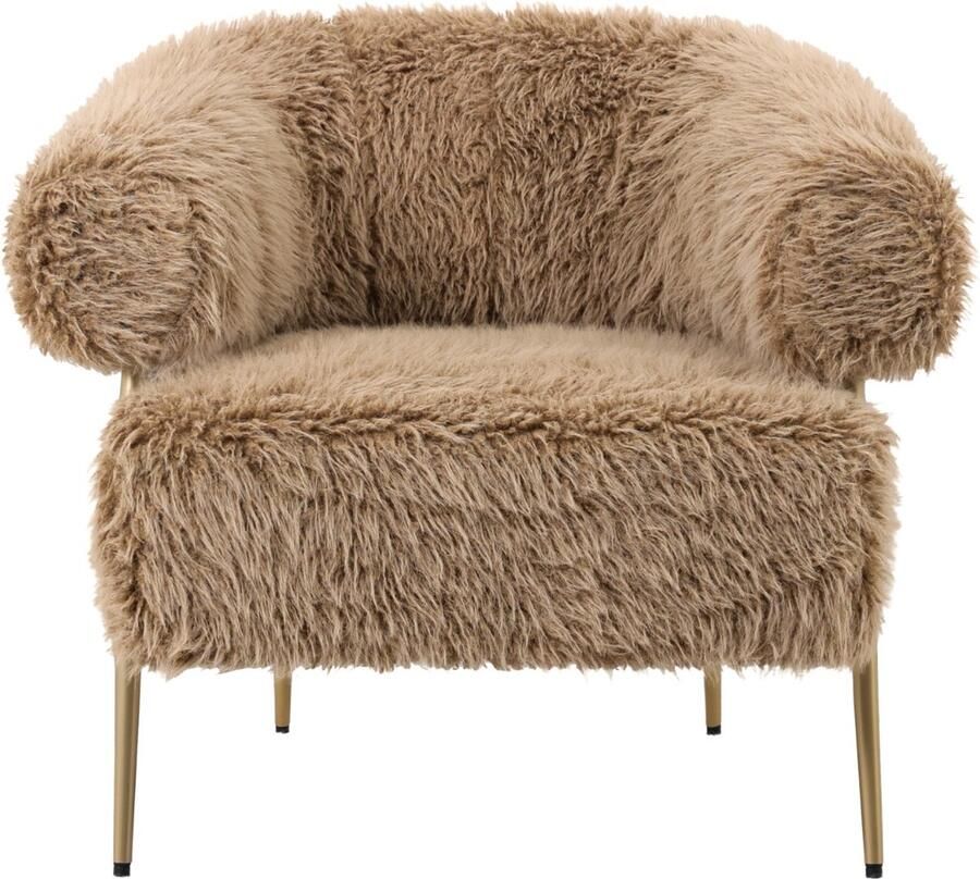 PTMD COLLECTION PTMD Hair brown fauteuil metal base