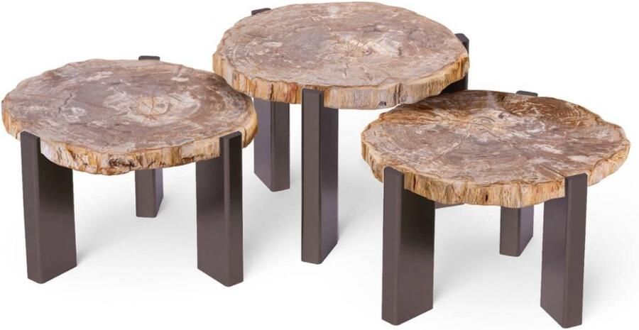 PTMD COLLECTION PTMD Salontafel Rudi 50x60x43 cm Hout Naturel Set van 3