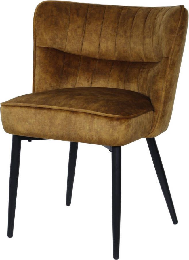 PTMD COLLECTION PTMD Marth Brown dining chair