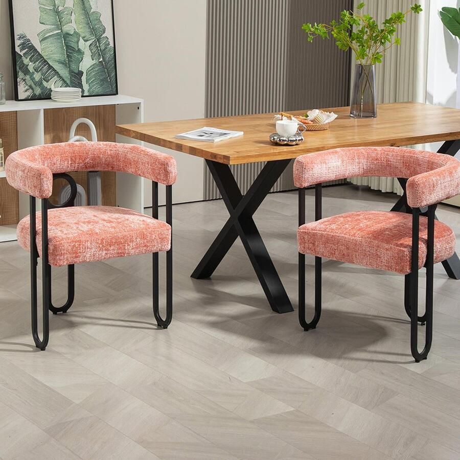 Pugsdrly Eettafel en stoelen set van 2 set eetkamerstoelen in fluweel met ronde rugleuning comfortabele keukenstoelen eettafel en stoelen moderne en comfortabele stoelen voor eetkamer en woonkamer