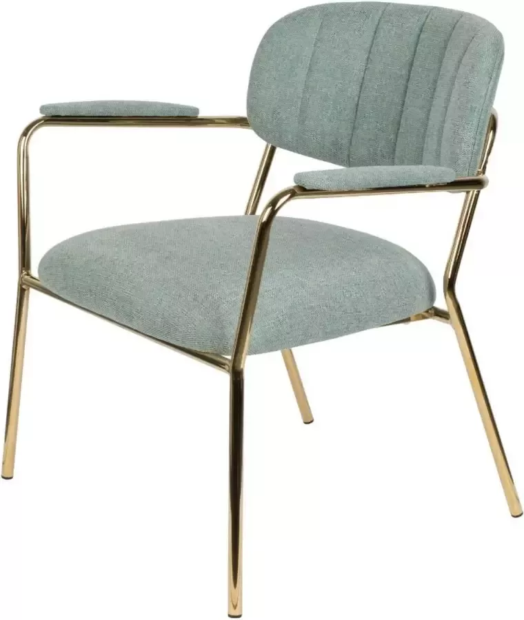 Puur Viken fauteuil met arm lichtgroen goud (Set van 2)
