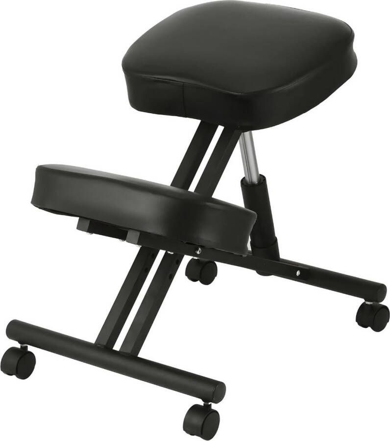 QProductz Qz Kniestoel Ergonomisch Knie Stoel Verstelbaar Zeer Comfortabele Kussens Zwart
