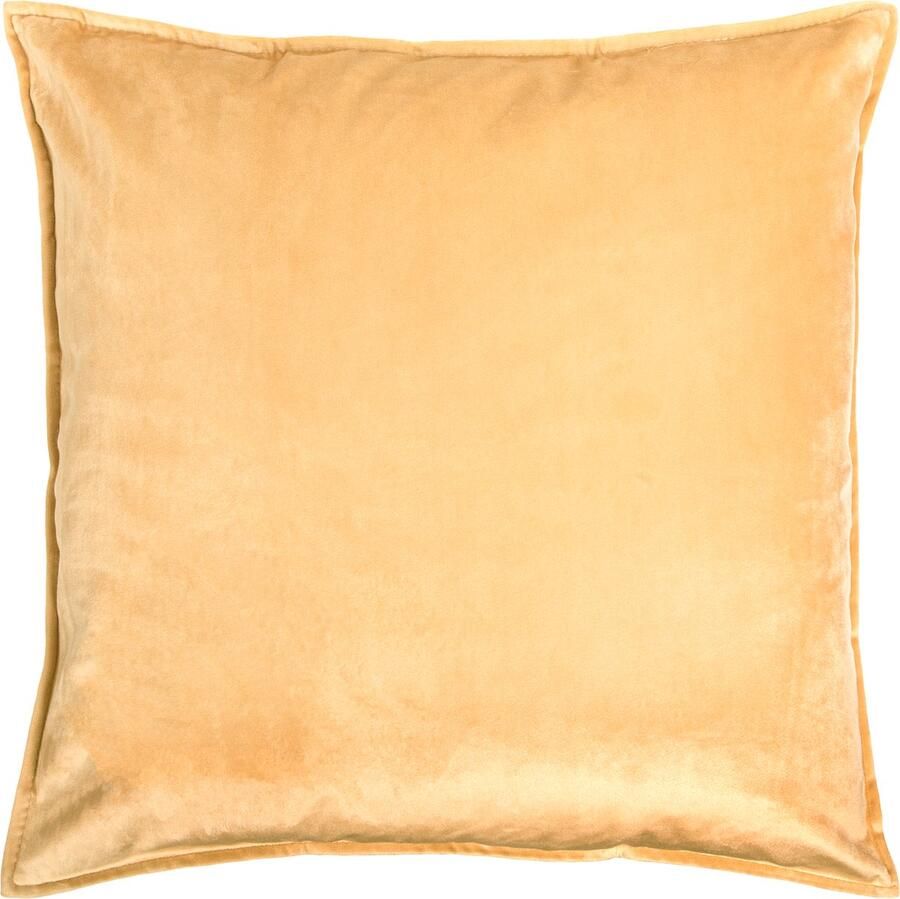 QUVIO Sierkussenhoes Kussenhoes Woonkamer Sierkussenhoes 45x45cm Sierkussenhoes beige Kussenhoes Sierkussenhoezen Sierkussenhoes bank Sierkussenhoes vierkant Fluweel Beige