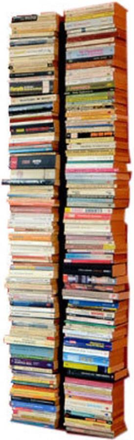Radius Booksbaum dubbel boekenwandrek zwart 170 cm