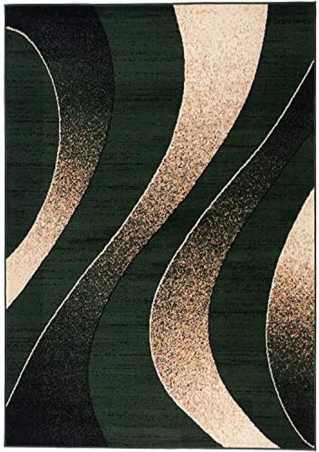 RALA Modern Vloerkleed Groen Laagpolig Tapijt voor Woonkamer en Slaapkamer OEKO-TEX Gecertificeerd 200x300 cm Polypropyleen