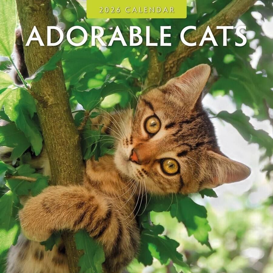 Red Robin Adorable Cats Kalender 2026