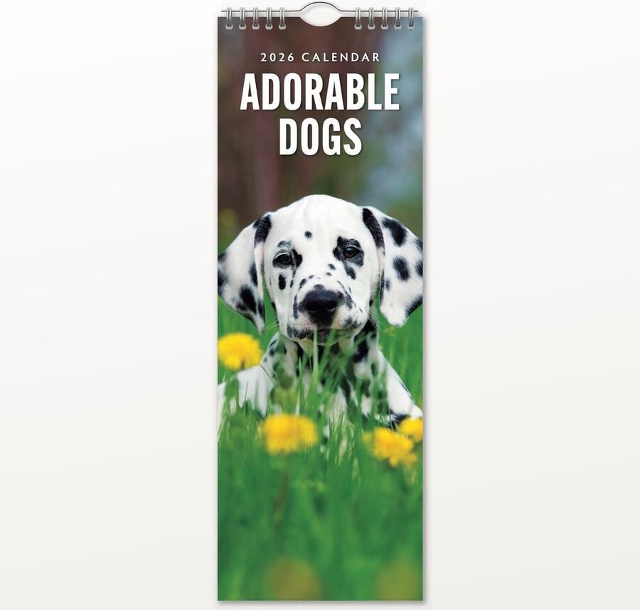 Red Robin Adorable Dogs Slimline Kalender 2026