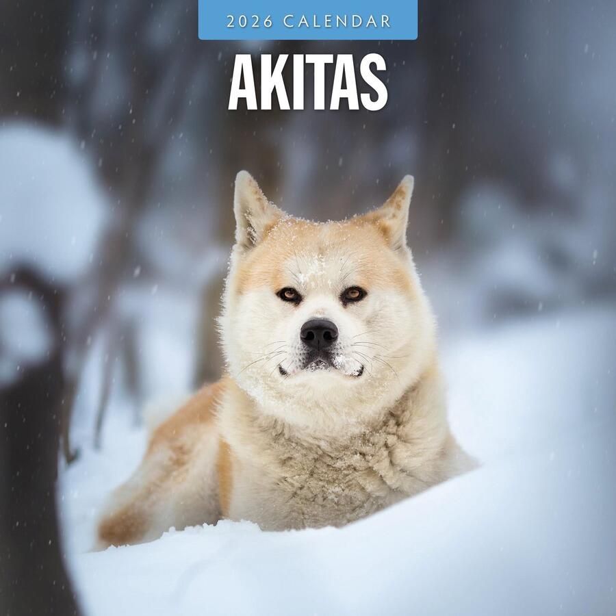Red Robin Akita Kalender 2026