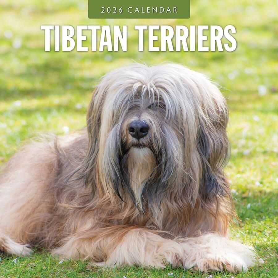Red Robin Tibetaanse Terrier Kalender 2026