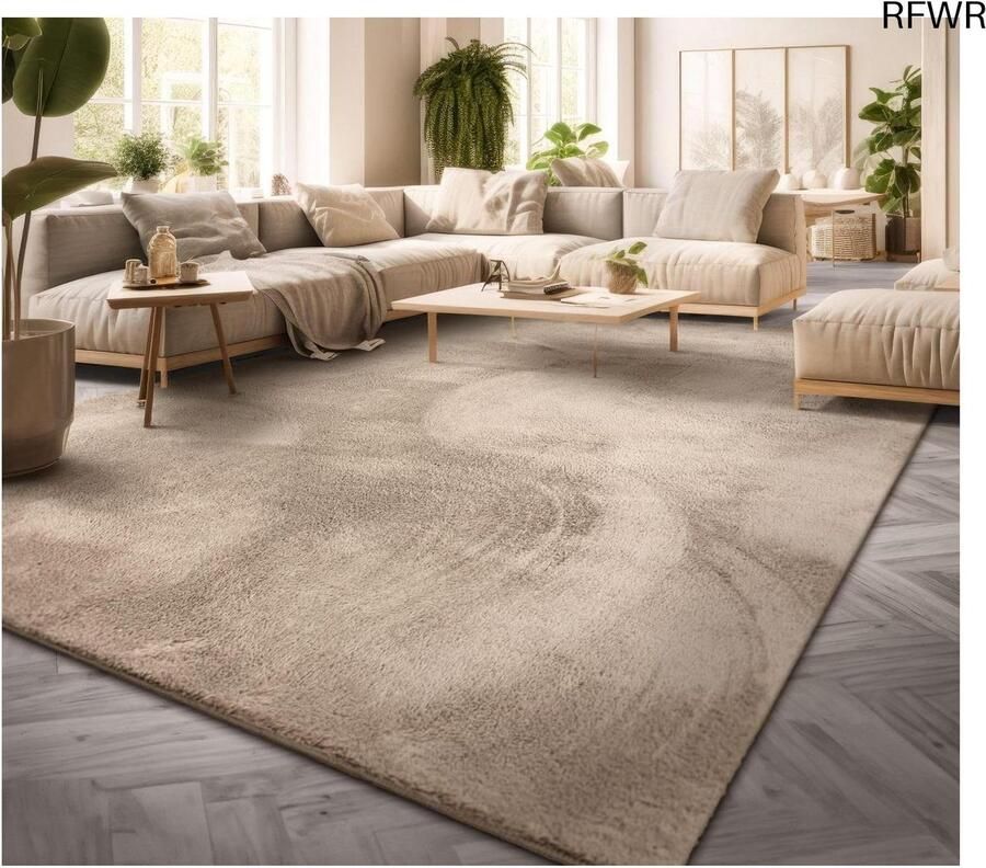 RFWR Eenkleurig Laagpolig Vloerkleed voor Woonkamer Modern Design Wasbaar Beige 60x100 cm