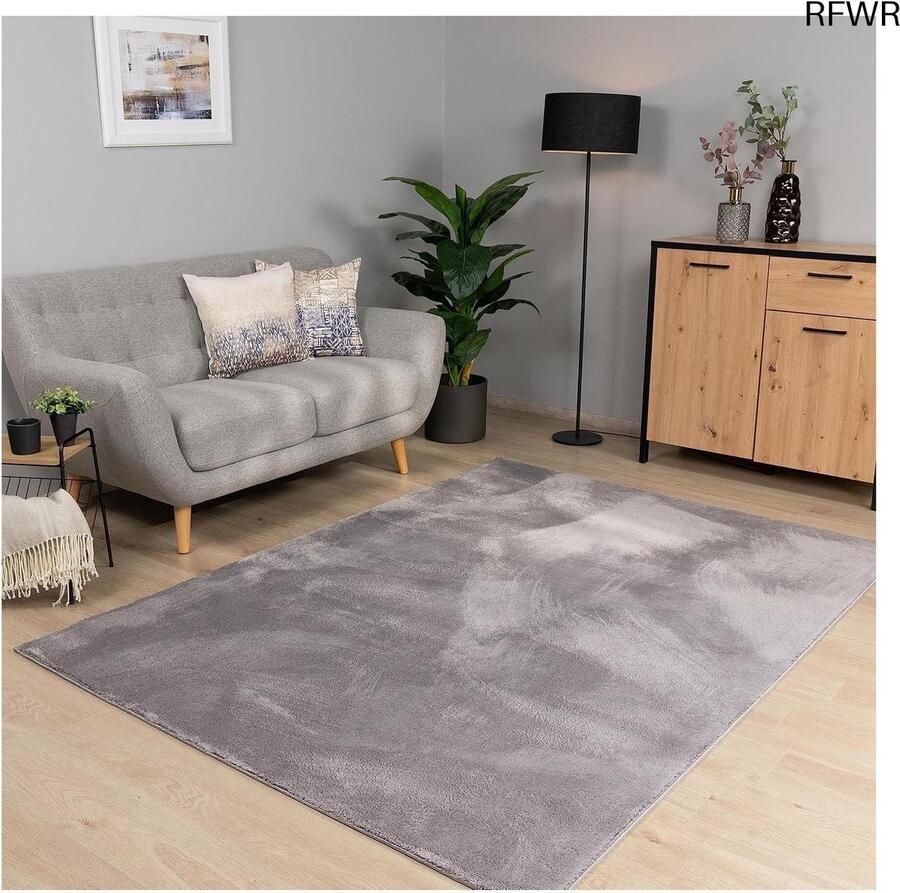 RFWR Laagpolig Wasbaar Vloerkleed voor de Woonkamer Grijs 160x220 cm