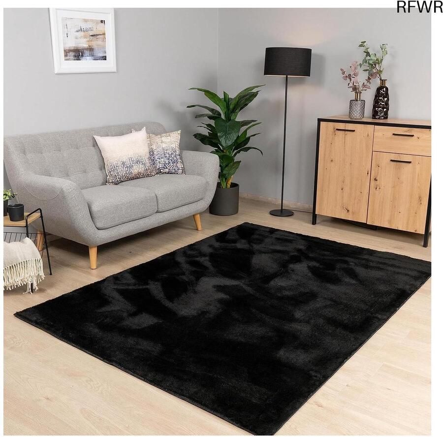 RFWR Laagpolig Wasbaar Vloerkleed Zwart 60x100 cm voor Woonkamer