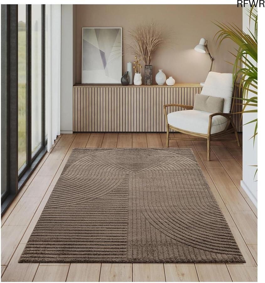 RFWR Modern kortpolig tapijt met hoog-laag-effect en 3D-effect voor woonkamer en slaapkamer Bruin 80 x 150 cm