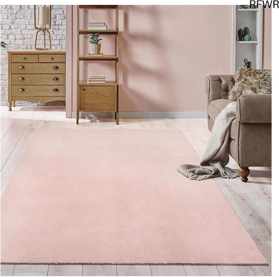 RFWR Moderne Pluizige Kortpolige Tapijt Wasbaar Antislip Superzacht Bontlook 80 x 150 cm
